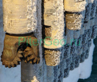 DSC0009823-1024x683